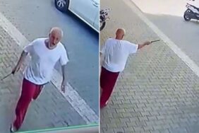Z1