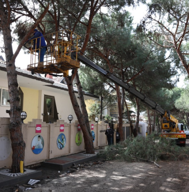 Belediye-kartal1