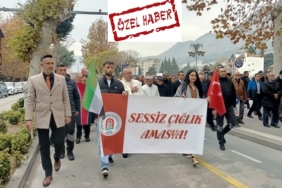 amasya