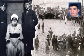 demokrasi hareketi