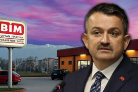 Pakdemirli