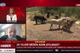 AKPli-Turkesten-katliam-yasasina-tepki-Dogru-bir-sey-degil.jpg