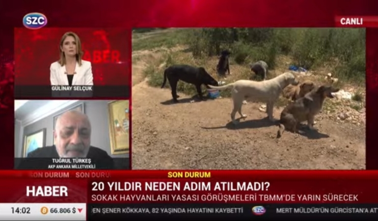 AKPli-Turkesten-katliam-yasasina-tepki-Dogru-bir-sey-degil.jpg
