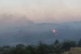 Adanada-orman-yangini-Mudahale-suruyor.jpg