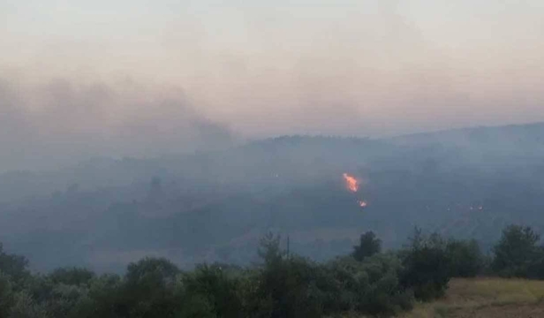 Adanada-orman-yangini-Mudahale-suruyor.jpg