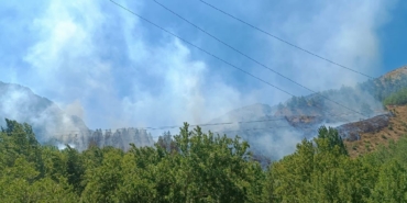 Kahramanmarasta-orman-yangini-Ruzgarin-etkisiyle-buyuyor.jpg