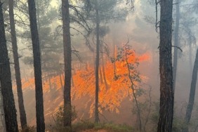 Kutahya-Gedizdeki-orman-yangini-kontrol-altina-alindi.jpg