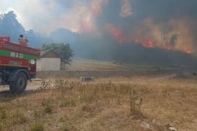 Ankarada-yangin-Boludaki-ormanlik-alana-sicradi-1-koy-bosaltiliyor.jpg