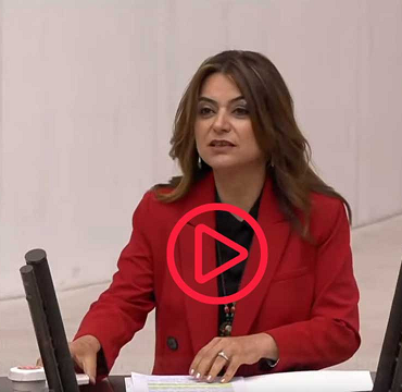 DEM- Koçyiğit