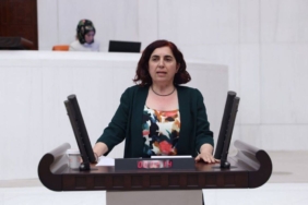 DEM-Partili-Celenkten-Instagram-sansuru-hakkinda-soru-onergesi.jpg