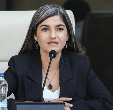 DEM- Şedal