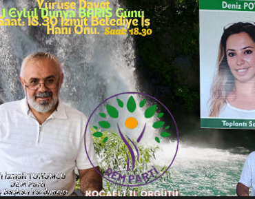 Ekran görüntüsü 30-08-2024 22.52.43