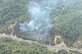 Mugla-Koycegizde-orman-yangini.jpg