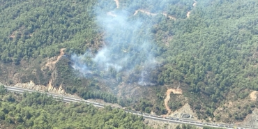 Mugla-Koycegizde-orman-yangini.jpg