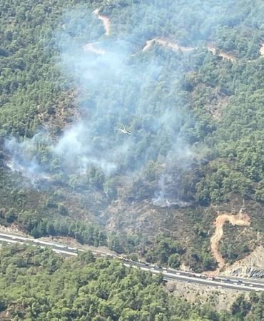 Mugla-Koycegizde-orman-yangini.jpg