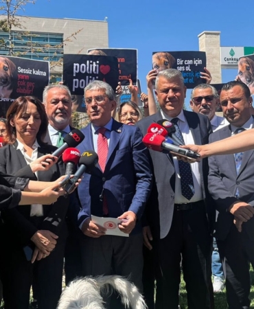 Sokak-hayvanlari-duzenlemesinde-yeni-gelisme.jpg