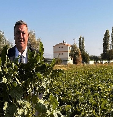 Haberci