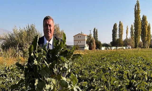 Haberci