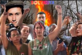 meral sol1
