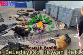 GEBZE KAPAK