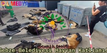 GEBZE KAPAK