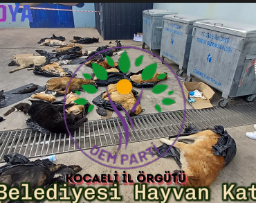 GEBZE KAPAK