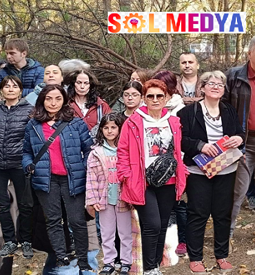 ağaç kapak toplu2