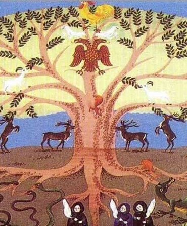 Haverci