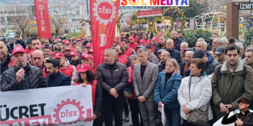 vedat kapak