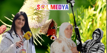 ANNEM