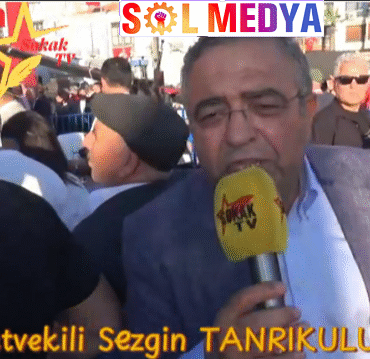 sezgin sol