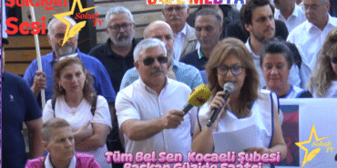 güzide sol