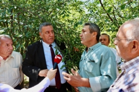 Fotoğraf (3)
