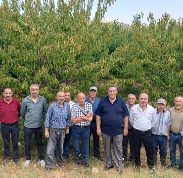 Fotoğraf (2)