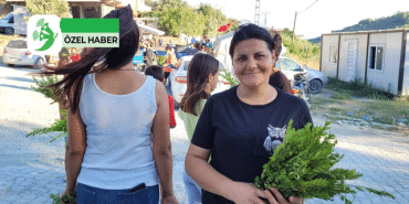 12hHABABER