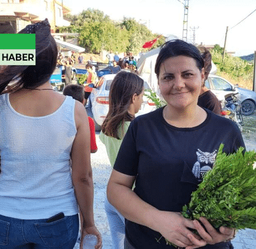 12hHABABER