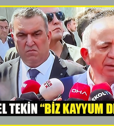 Gürsel Tekin